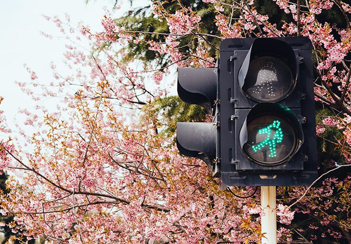Everything you need to know about the traffic light system